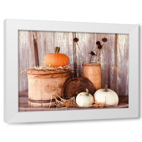 Autumn Pumpkins White Modern Wood Framed Art Print by Smith, Anthony