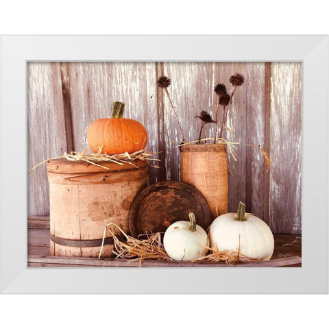 Autumn Pumpkins White Modern Wood Framed Art Print by Smith, Anthony