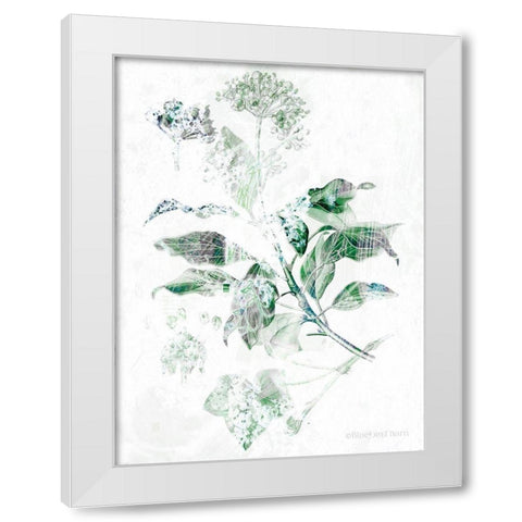 Verbena Botanical   White Modern Wood Framed Art Print by Bluebird Barn