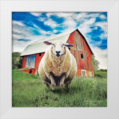 Sunday Afternoon Sheep Pose   White Modern Wood Framed Art Print by Bluebird Barn