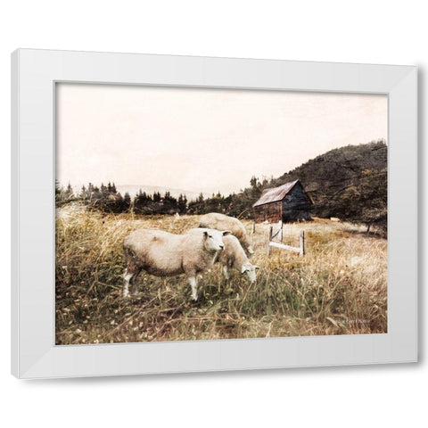 Sheep in the Meadow    White Modern Wood Framed Art Print by Bluebird Barn