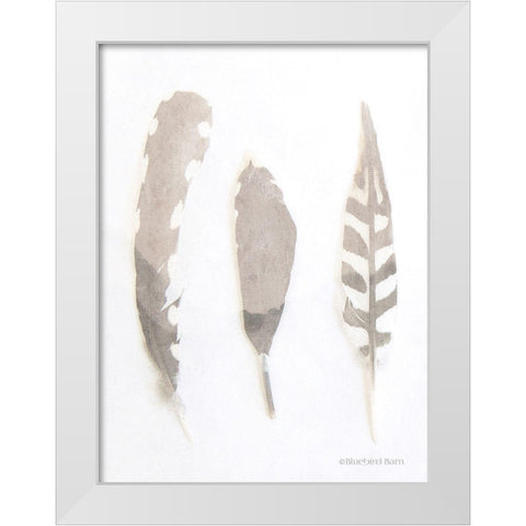 Soft Feathers Study     White Modern Wood Framed Art Print by Bluebird Barn