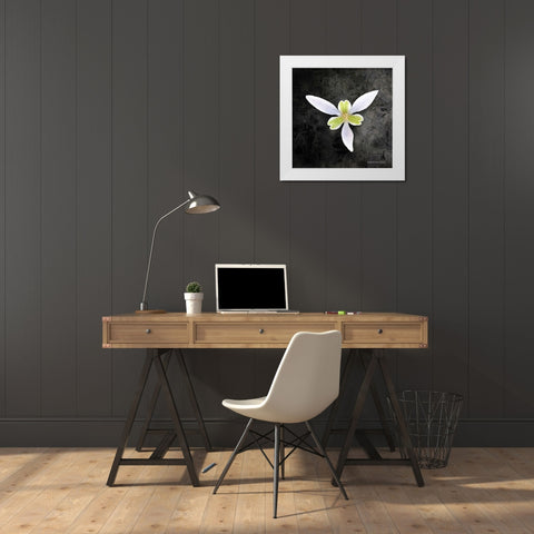 Contemporary Floral Trillium White Modern Wood Framed Art Print by Bluebird Barn