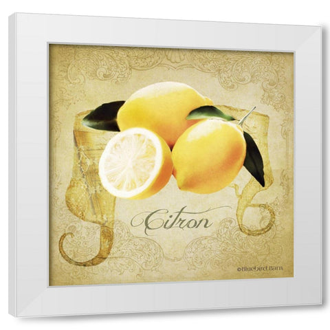 Vintage Lemons Citron White Modern Wood Framed Art Print by Bluebird Barn