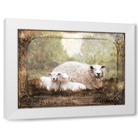Vintage Ewe and Sleeping Lambs White Modern Wood Framed Art Print by Bluebird Barn
