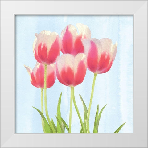 Fresh Spring Tulips III White Modern Wood Framed Art Print by Bluebird Barn