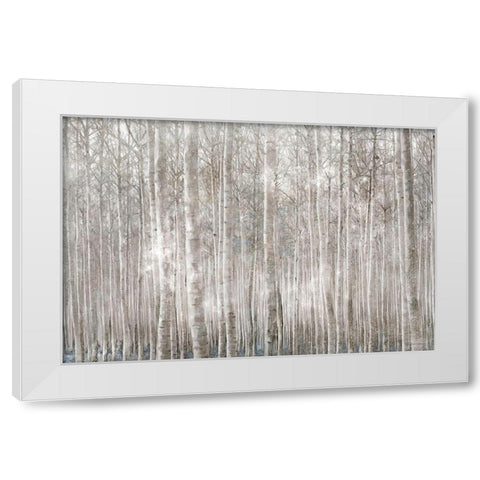 Birch Trees     White Modern Wood Framed Art Print by Bluebird Barn