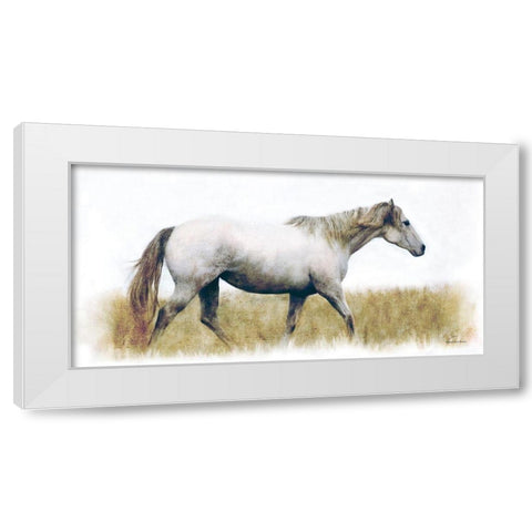 White Horse    White Modern Wood Framed Art Print by Bluebird Barn