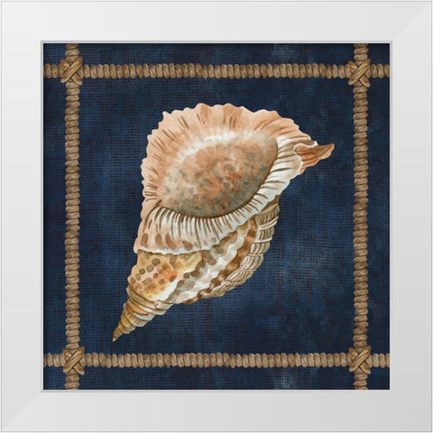 Seashell on Navy VI White Modern Wood Framed Art Print by Jacobs, Cindy