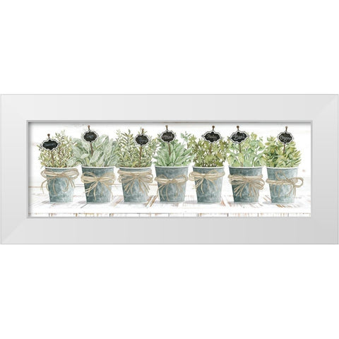 Herbs in a Row White Modern Wood Framed Art Print by Jacobs, Cindy