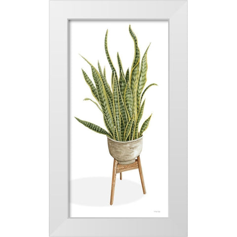 Snake Plant White Modern Wood Framed Art Print by Jacobs, Cindy