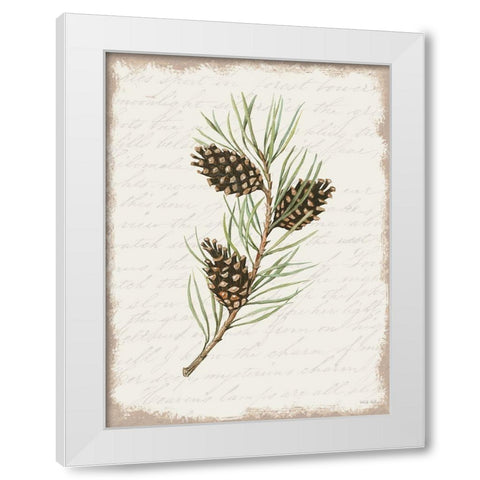 Pine Cone Botanical I White Modern Wood Framed Art Print by Jacobs, Cindy