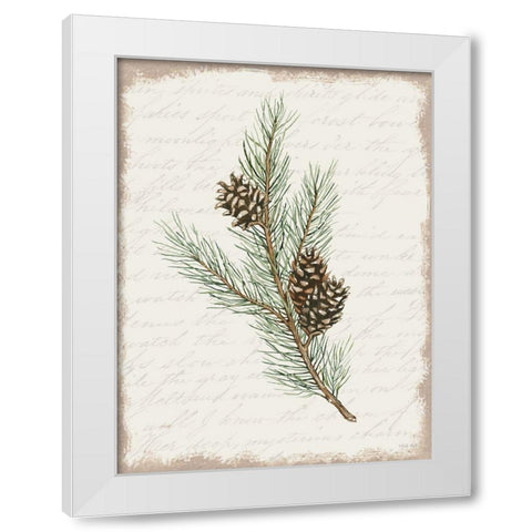 Pine Cone Botanical II White Modern Wood Framed Art Print by Jacobs, Cindy
