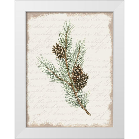 Pine Cone Botanical II White Modern Wood Framed Art Print by Jacobs, Cindy