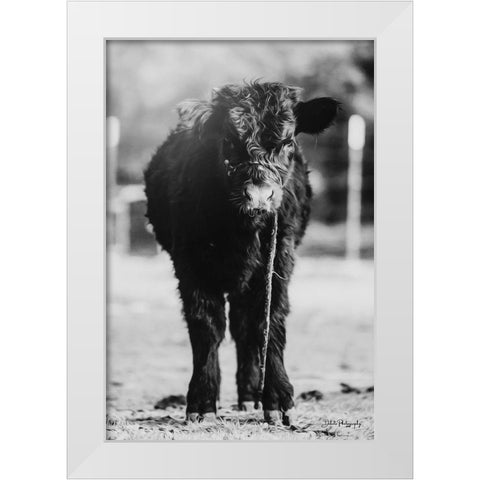 Single Cow White Modern Wood Framed Art Print by Diener, Dakota