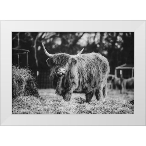 Hungry Cow I White Modern Wood Framed Art Print by Diener, Dakota