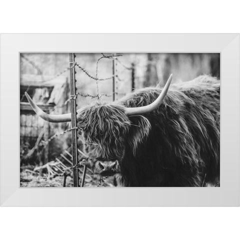 Highland and Fence White Modern Wood Framed Art Print by Diener, Dakota