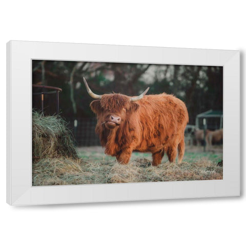 Hungry Cow I White Modern Wood Framed Art Print by Diener, Dakota