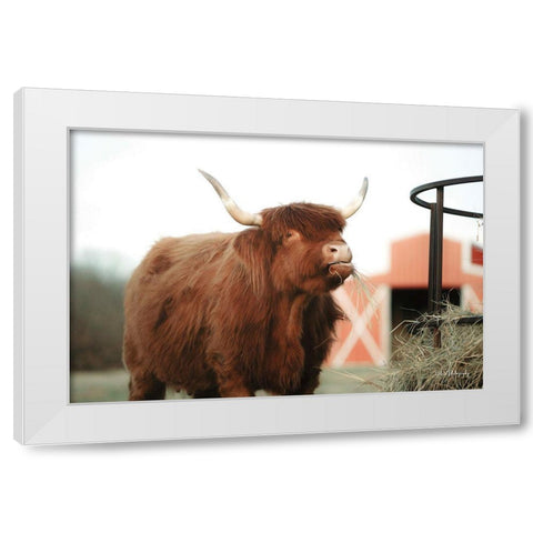 Hungry Cow II White Modern Wood Framed Art Print by Diener, Dakota