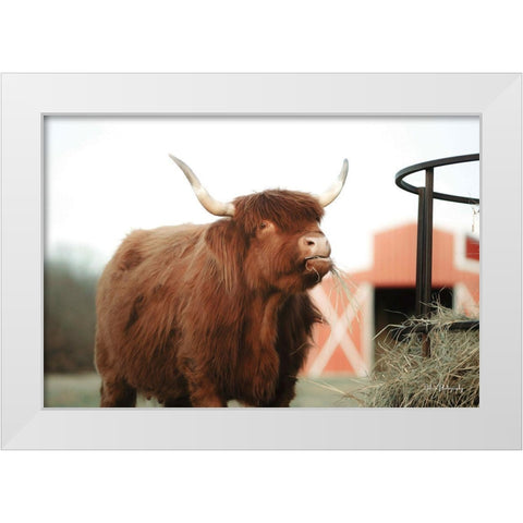 Hungry Cow II White Modern Wood Framed Art Print by Diener, Dakota