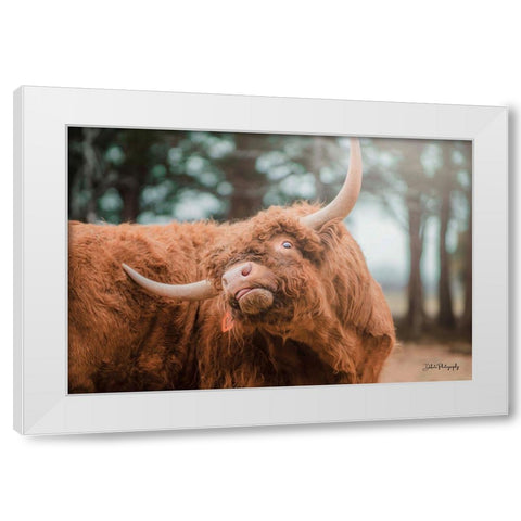 Highland Itch White Modern Wood Framed Art Print by Diener, Dakota