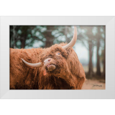 Highland Itch White Modern Wood Framed Art Print by Diener, Dakota