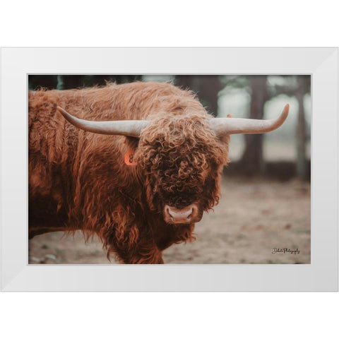The Bull Look White Modern Wood Framed Art Print by Diener, Dakota