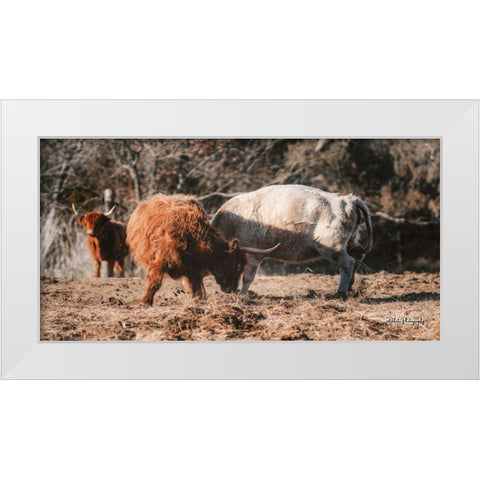 Highland Fight White Modern Wood Framed Art Print by Diener, Dakota