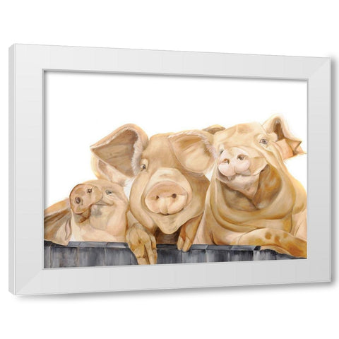 Three Pigs White Modern Wood Framed Art Print by Fifer, Diane