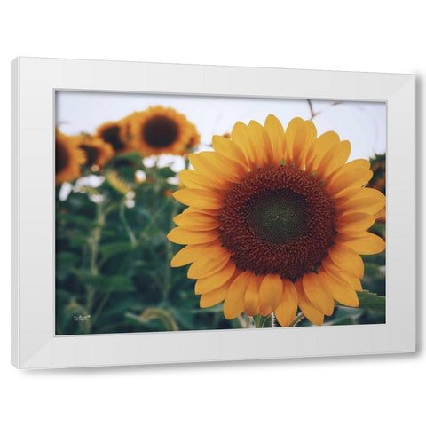 Midwest Livin II White Modern Wood Framed Art Print by Quillen, Donnie