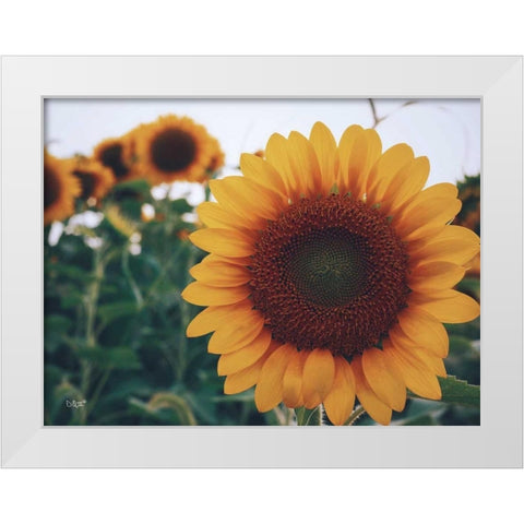 Midwest Livin II White Modern Wood Framed Art Print by Quillen, Donnie