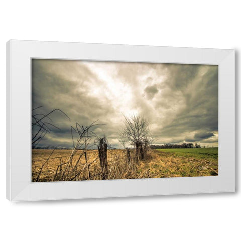 Storm Season II White Modern Wood Framed Art Print by Quillen, Donnie