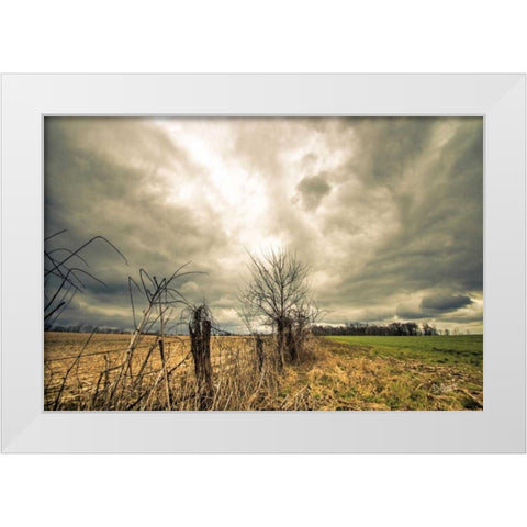 Storm Season II White Modern Wood Framed Art Print by Quillen, Donnie