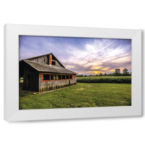 A Summer Sunset I White Modern Wood Framed Art Print by Quillen, Donnie