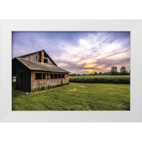 A Summer Sunset I White Modern Wood Framed Art Print by Quillen, Donnie