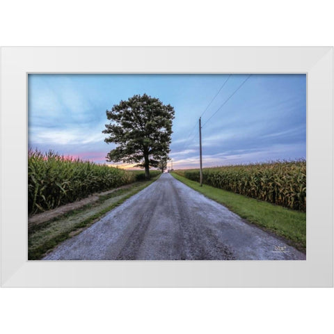 A Summer Sunset II White Modern Wood Framed Art Print by Quillen, Donnie