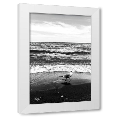 Seagull I    White Modern Wood Framed Art Print by Quillen, Donnie