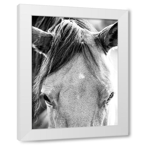 Trophy Winner I   White Modern Wood Framed Art Print by Quillen, Donnie