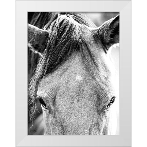 Trophy Winner I   White Modern Wood Framed Art Print by Quillen, Donnie
