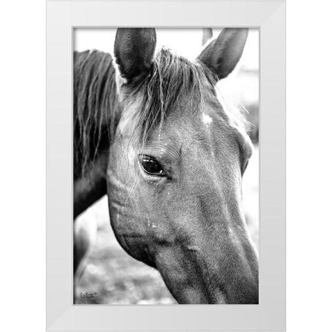 Trophy Winner II   White Modern Wood Framed Art Print by Quillen, Donnie
