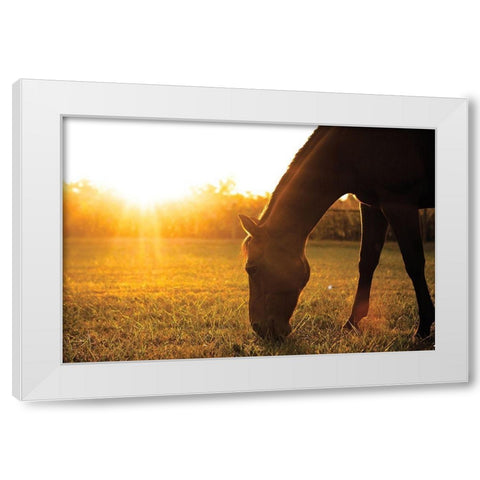 Sunset Grazing I White Modern Wood Framed Art Print by Quillen, Donnie