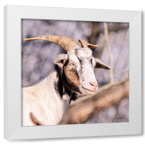 Brown Goat White Modern Wood Framed Art Print by Quillen, Donnie