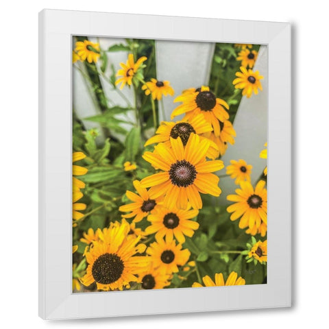 Bed of Yellow White Modern Wood Framed Art Print by Quillen, Donnie