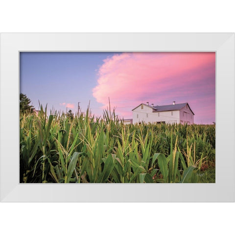 Corn Crop White Modern Wood Framed Art Print by Quillen, Donnie
