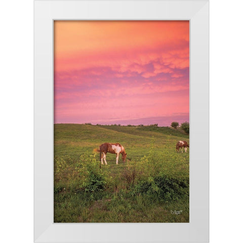 Horse at Sunset  White Modern Wood Framed Art Print by Quillen, Donnie