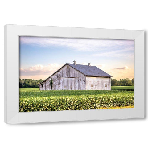 Rural Ohio Barn White Modern Wood Framed Art Print by Quillen, Donnie
