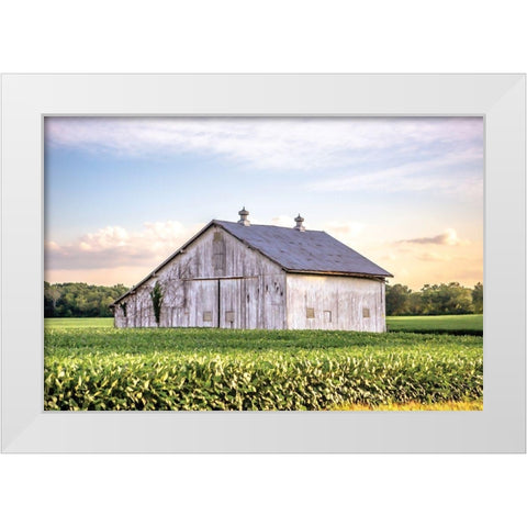 Rural Ohio Barn White Modern Wood Framed Art Print by Quillen, Donnie