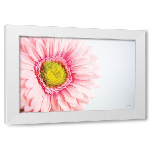 Daisy Close-up White Modern Wood Framed Art Print by Quillen, Donnie