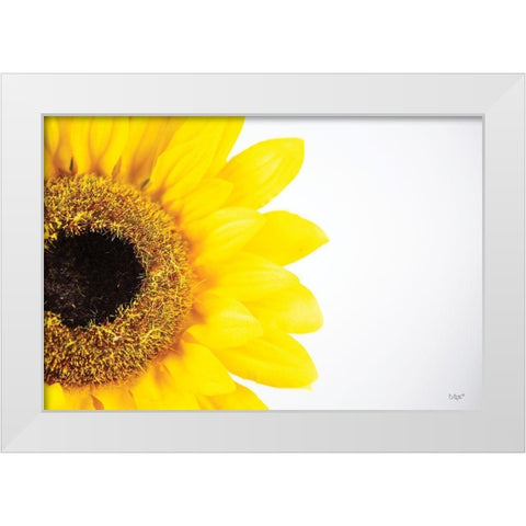 Sunflower Close-up White Modern Wood Framed Art Print by Quillen, Donnie
