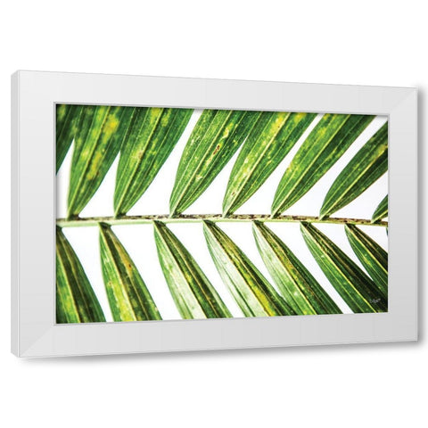 Leaf Study I White Modern Wood Framed Art Print by Quillen, Donnie